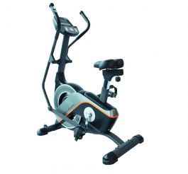 Buy DLITEZ 2.0 DUAL ACTION BIKE online Fitness Concept